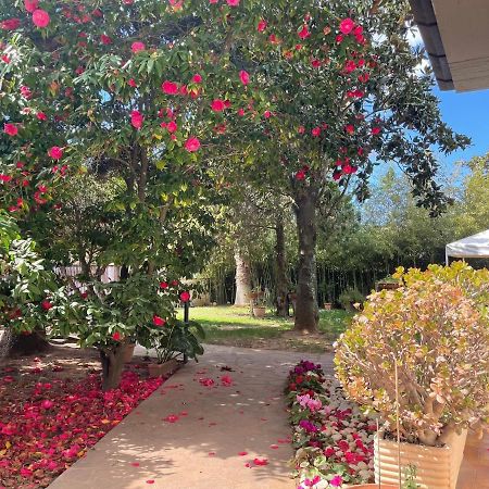 Appartamento In Villa Con Giardino Vicino Al Mare Bella Farnia Exterior foto